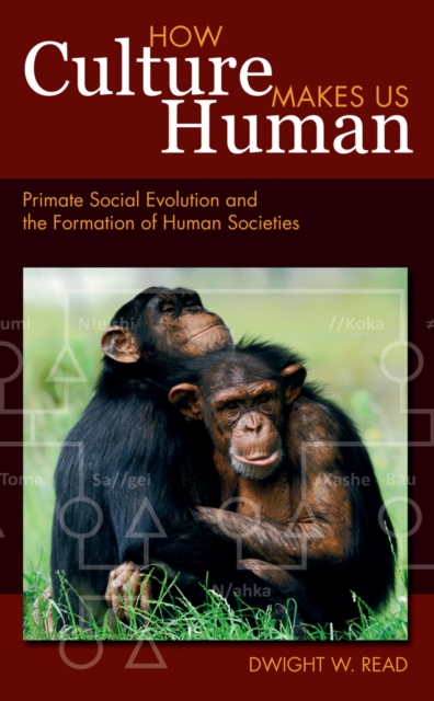 How Culture Makes Us Human : Primate Social Evolution and the Formation of Human Societies, EPUB eBook