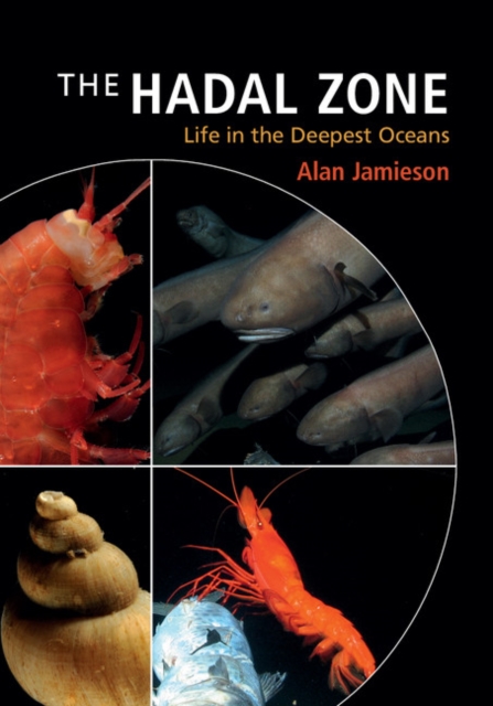 Hadal Zone : Life in the Deepest Oceans, EPUB eBook