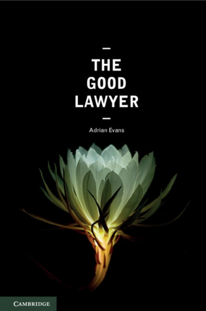 Good Lawyer : A Student Guide to Law and Ethics, EPUB eBook