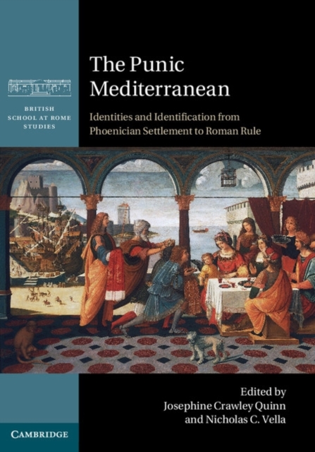 Punic Mediterranean : Identities and Identification from Phoenician Settlement to Roman Rule, PDF eBook
