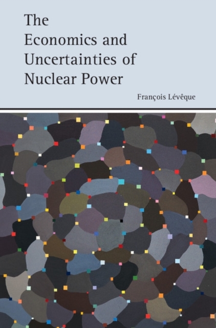 Economics and Uncertainties of Nuclear Power, PDF eBook