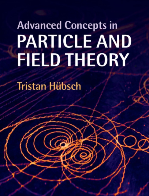 Advanced Concepts in Particle and Field Theory, PDF eBook