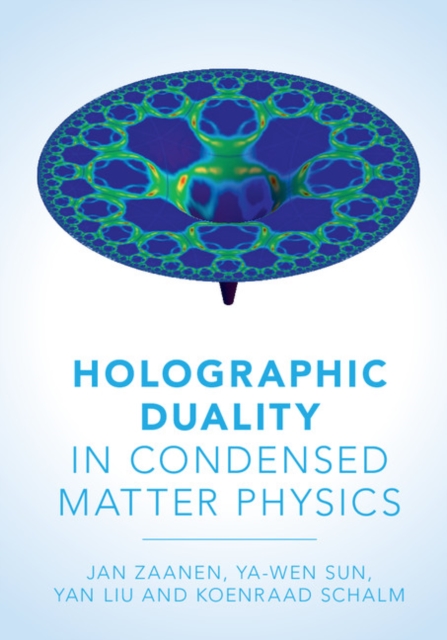 Holographic Duality in Condensed Matter Physics, EPUB eBook