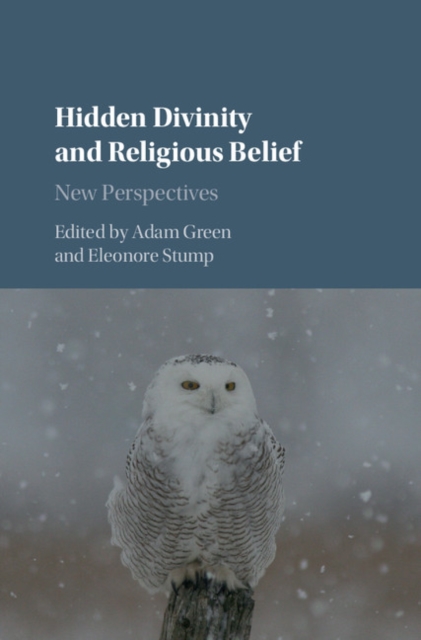 Hidden Divinity and Religious Belief : New Perspectives, EPUB eBook