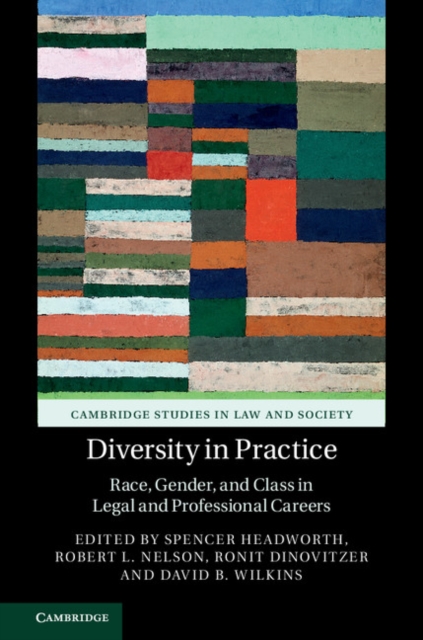 Diversity in Practice : Race, Gender, and Class in Legal and Professional Careers, EPUB eBook
