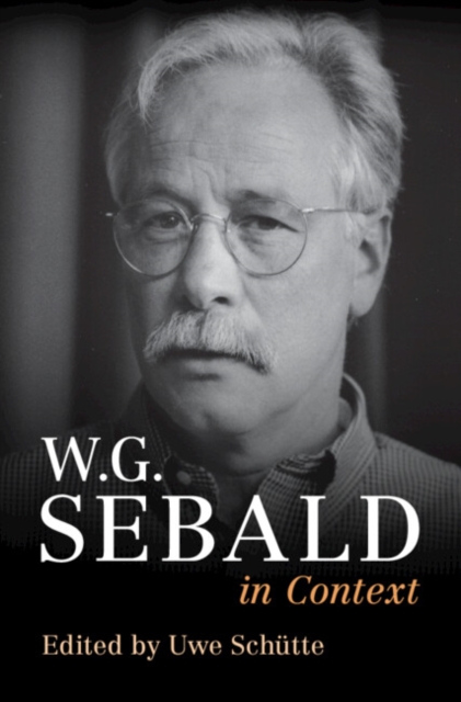 W. G. Sebald in Context, Hardback Book