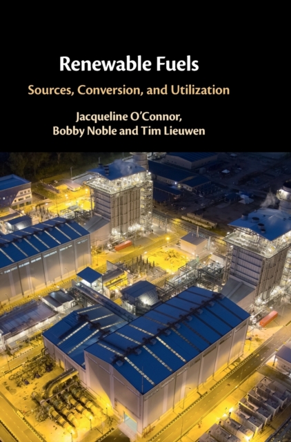 Renewable Fuels : Sources, Conversion, and Utilization, Hardback Book