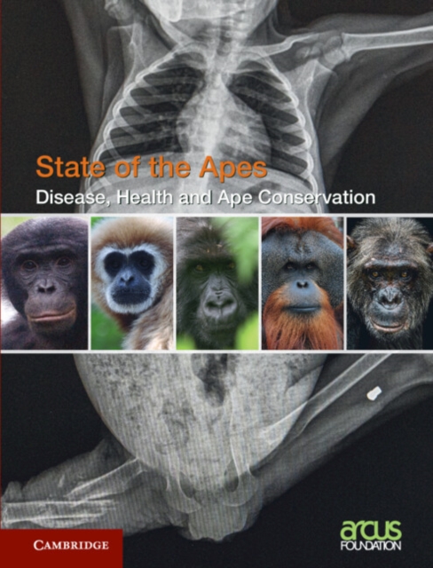 Disease, Health and Ape Conservation: Volume 5, Hardback Book