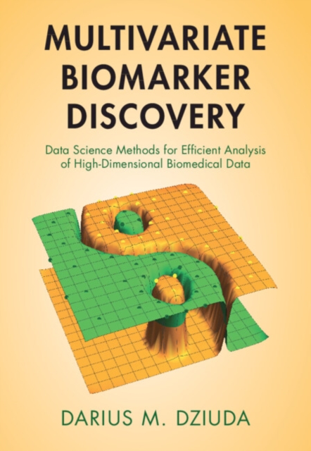 Multivariate Biomarker Discovery : Data Science Methods for Efficient Analysis of High-Dimensional Biomedical Data, Hardback Book