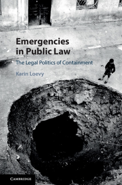 Emergencies in Public Law : The Legal Politics of Containment, PDF eBook