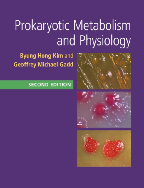 Prokaryotic Metabolism and Physiology, Paperback / softback Book