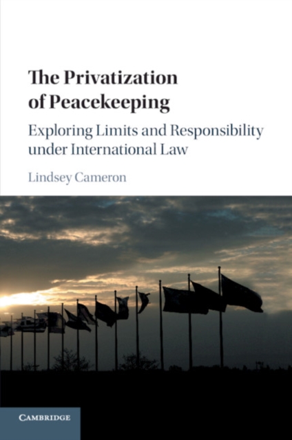 The Privatization of Peacekeeping : Exploring Limits and Responsibility under International Law, Paperback / softback Book