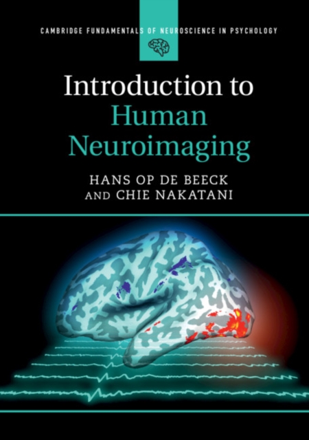 Introduction to Human Neuroimaging, Paperback / softback Book