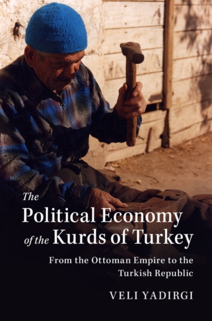 The Political Economy of the Kurds of Turkey : From the Ottoman Empire to the Turkish Republic, Paperback / softback Book