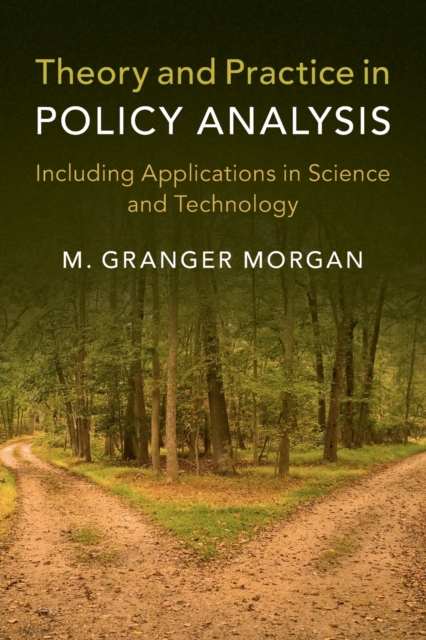 Theory and Practice in Policy Analysis : Including Applications in Science and Technology, Paperback / softback Book