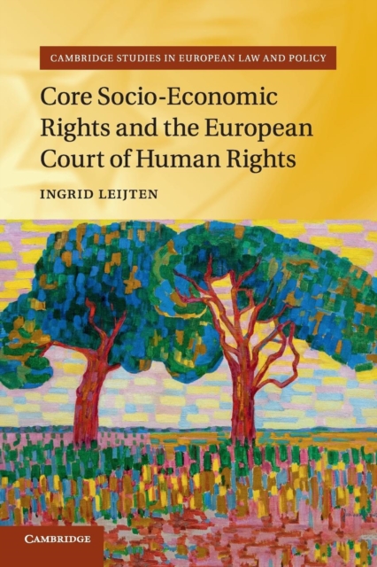 Core Socio-Economic Rights and the European Court of Human Rights, Paperback / softback Book