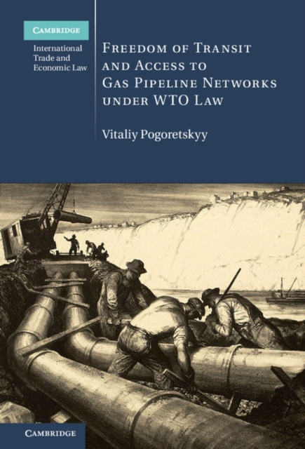 Freedom of Transit and Access to Gas Pipeline Networks under WTO Law, PDF eBook