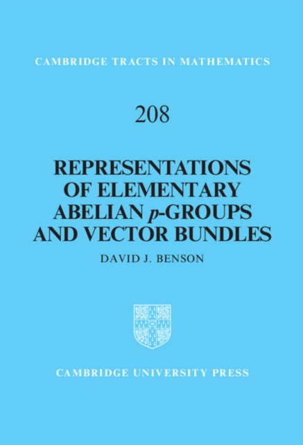 Representations of Elementary Abelian p-Groups and Vector Bundles, EPUB eBook