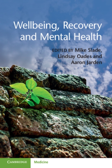 Wellbeing, Recovery and Mental Health, PDF eBook