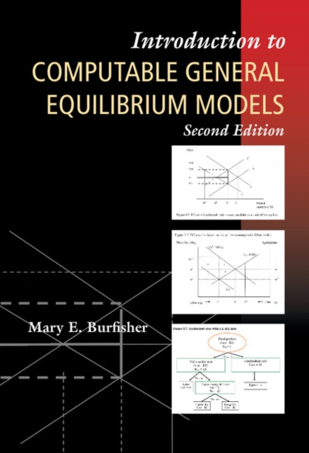 Introduction to Computable General Equilibrium Models, PDF eBook
