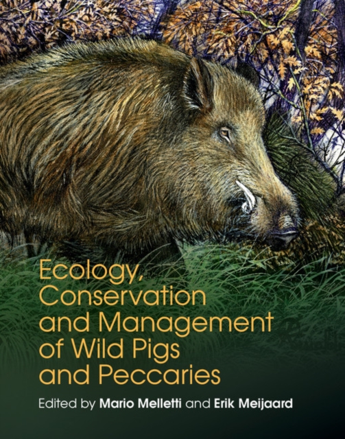 Ecology, Conservation and Management of Wild Pigs and Peccaries, EPUB eBook