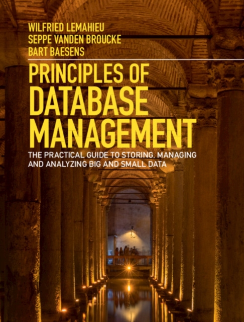 Principles of Database Management : The Practical Guide to Storing, Managing and Analyzing Big and Small Data, PDF eBook