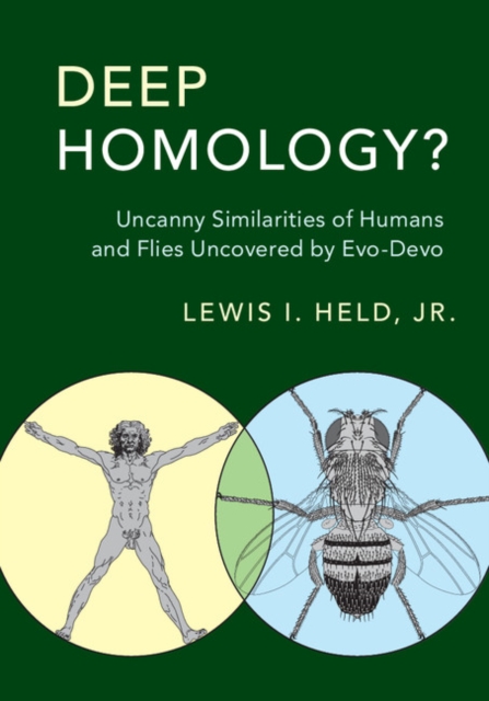Deep Homology? : Uncanny Similarities of Humans and Flies Uncovered by Evo-Devo, EPUB eBook