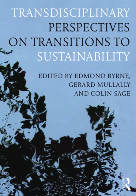 Transdisciplinary Perspectives on Transitions to Sustainability, PDF eBook