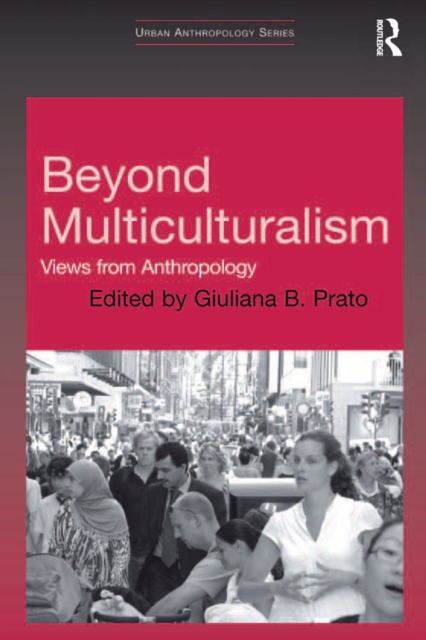 Beyond Multiculturalism : Views from Anthropology, EPUB eBook