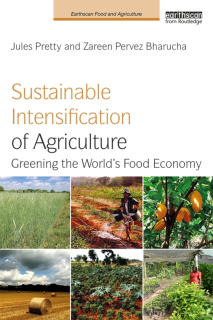 Sustainable Intensification of Agriculture : Greening the World's Food Economy, EPUB eBook