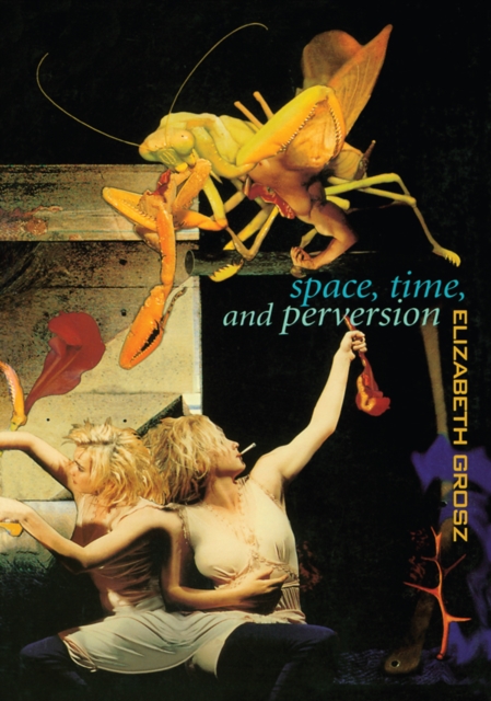 Space, Time and Perversion : Essays on the Politics of Bodies, EPUB eBook