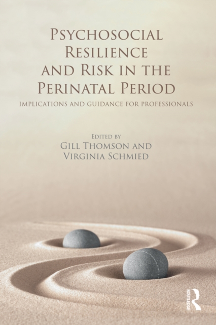 Psychosocial Resilience and Risk in the Perinatal Period : Implications and Guidance for Professionals, PDF eBook