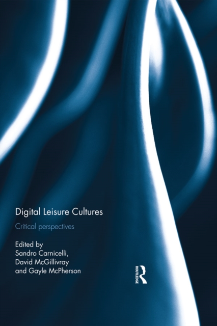 Digital Leisure Cultures : Critical Perspectives, PDF eBook