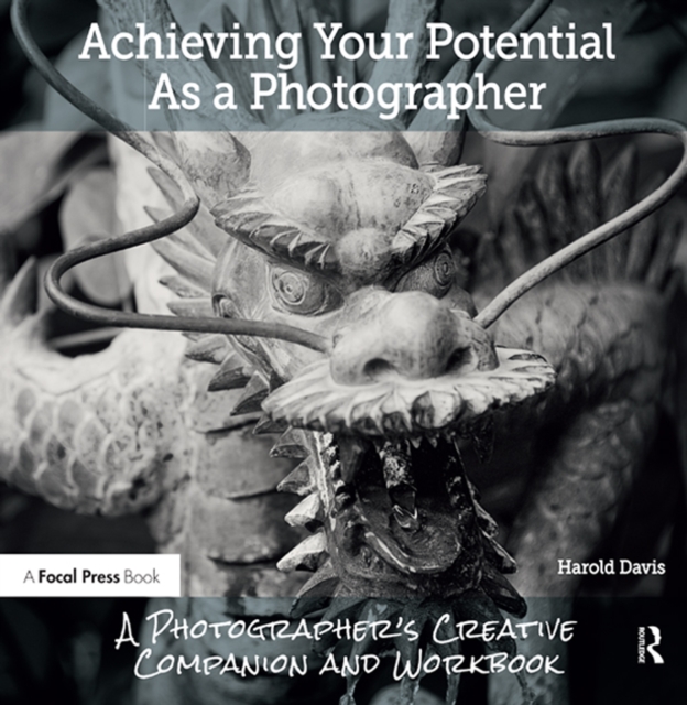 Achieving Your Potential As A Photographer : A Creative Companion and Workbook, PDF eBook