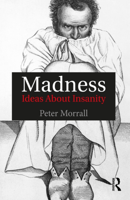 Madness : Ideas About Insanity, PDF eBook