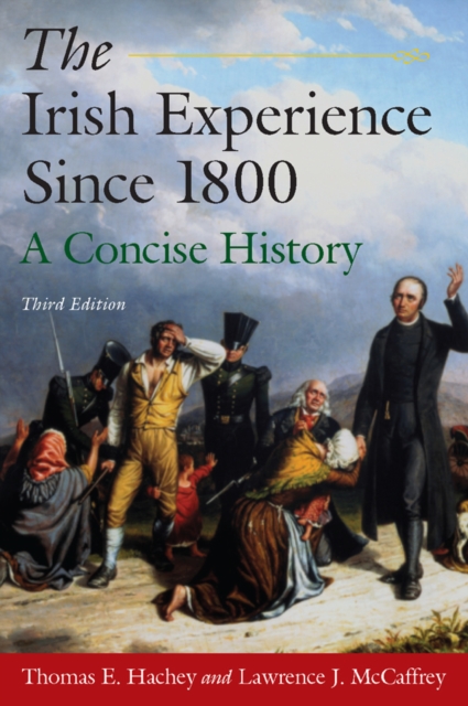 The Irish Experience Since 1800: A Concise History : A Concise History, EPUB eBook