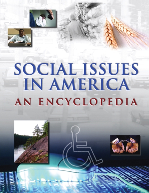 Social Issues in America : An Encyclopedia, PDF eBook