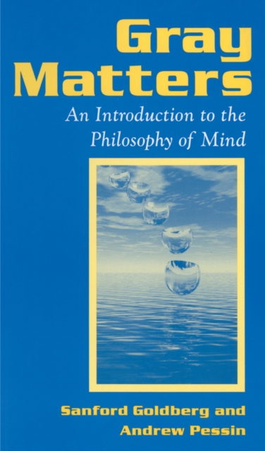Gray Matters : Introduction to the Philosophy of Mind, EPUB eBook