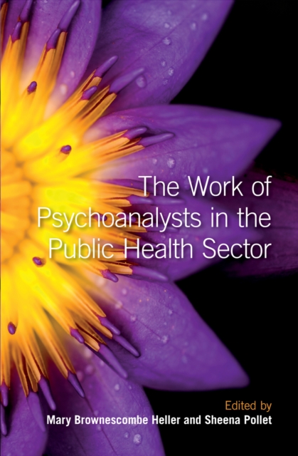 The Work of Psychoanalysts in the Public Health Sector, EPUB eBook