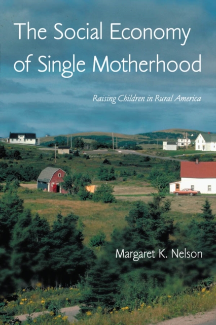 The Social Economy of Single Motherhood : Raising Children in Rural America, PDF eBook