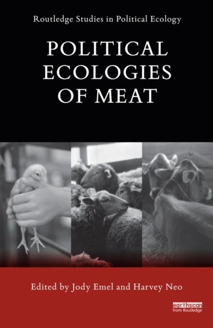 Political Ecologies of Meat, EPUB eBook