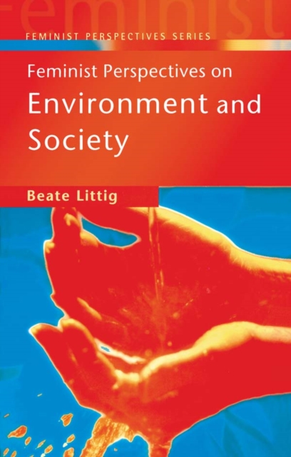 Feminist Perspectives on Environment and Society, EPUB eBook