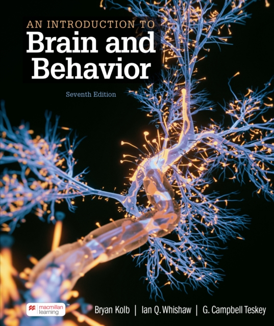 An Introduction to Brain and Behavior (International Edition), EPUB eBook