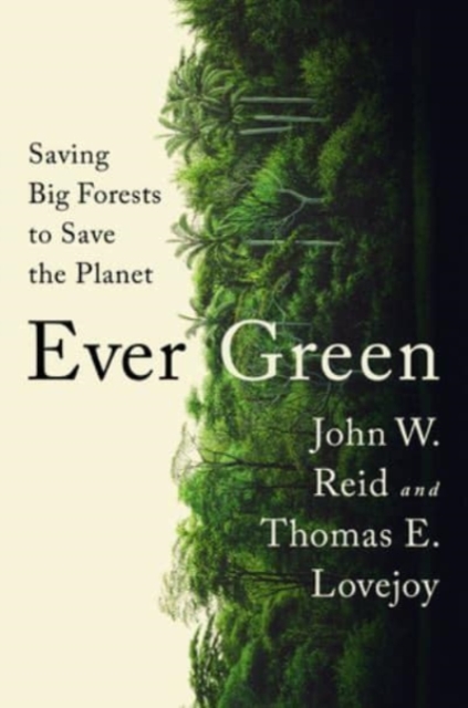 Ever Green : Saving Big Forests to Save the Planet, Hardback Book