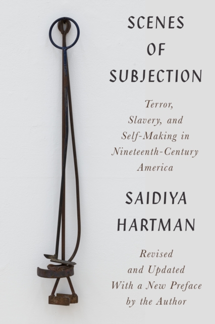 Scenes of Subjection : Terror, Slavery, and Self-Making in Nineteenth-Century America, EPUB eBook
