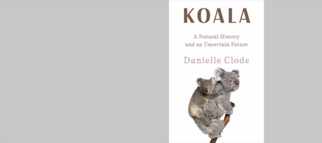 Koala : A Natural History and an Uncertain Future, Hardback Book