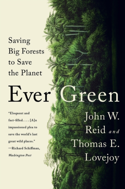 Ever Green : Saving Big Forests to Save the Planet, Paperback / softback Book