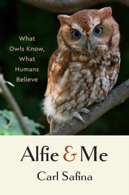 Alfie and Me : What Owls Know, What Humans Believe, Hardback Book