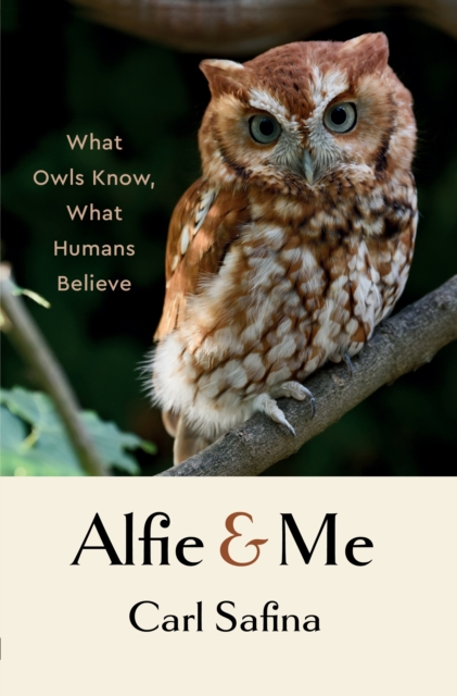 Alfie and Me : What Owls Know, What Humans Believe, EPUB eBook