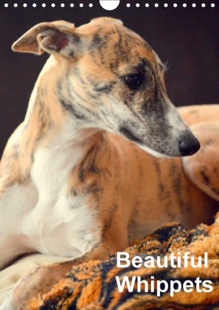 Beautiful Whippets 2017 : Whippets are Small English Sighthounds, Calendar Book